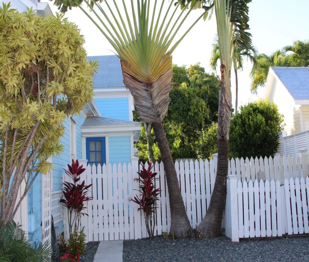 Gita di un giorno a Key West o Bimini Bahamas? 3 Case Key West Miami Florida 2