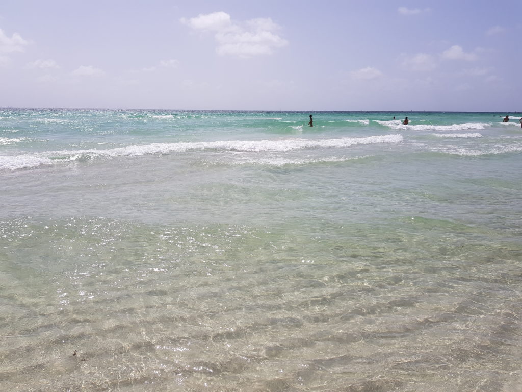 Andare a Miami ad Agosto? Sì o No? 1 Miami ad Agosto Mare Oceano South Beach Miami