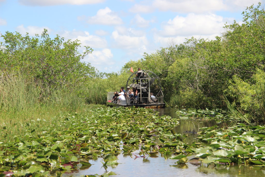Everglades Miami: Vale la pena andare alle Everglades? 2 everglades miami
