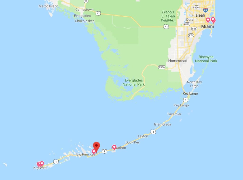 Migliori spiagge delle Keys: Bahia Honda State Park 1 Bahia-Honda-State-Park-Migliori-spiagge-delle-Keys-florida