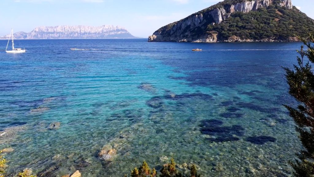 Spiagge Golfo Aranci Sardegna: 2 Spiagge da non perdere 6 Isola-di-Figarolo-cala-moresca-golfo-aranci