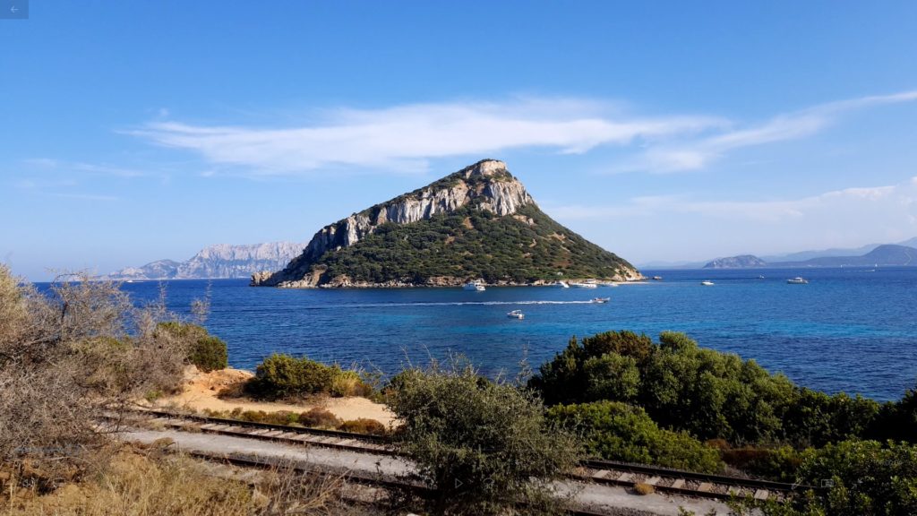 Spiagge Golfo Aranci Sardegna: 2 Spiagge da non perdere 7 Isola-di-Figarolo-golfo-aranci