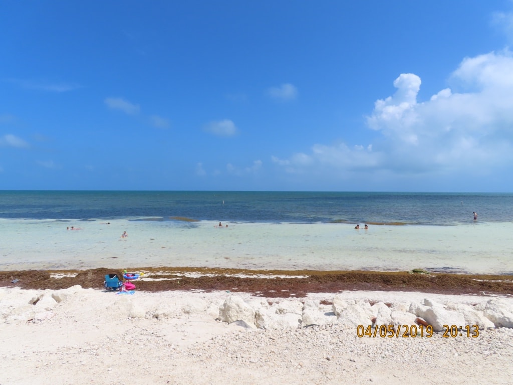 Migliori spiagge delle Keys: Bahia Honda State Park 9 Migliori-spiagge-delle-Keys-Bahia-Honda-State-Park-florida-dopo-irma