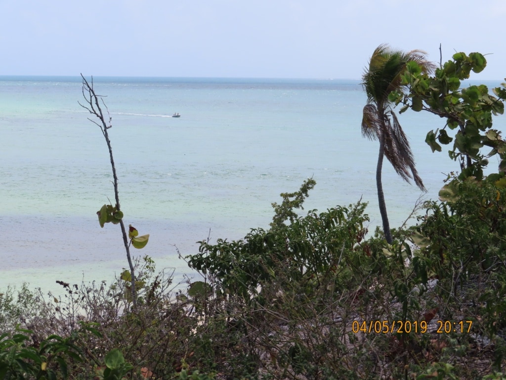 Migliori spiagge delle Keys: Bahia Honda State Park 8 Migliori-spiagge-delle-Keys-Bahia-Honda-State-Park-florida-dopo-uragano-Irma