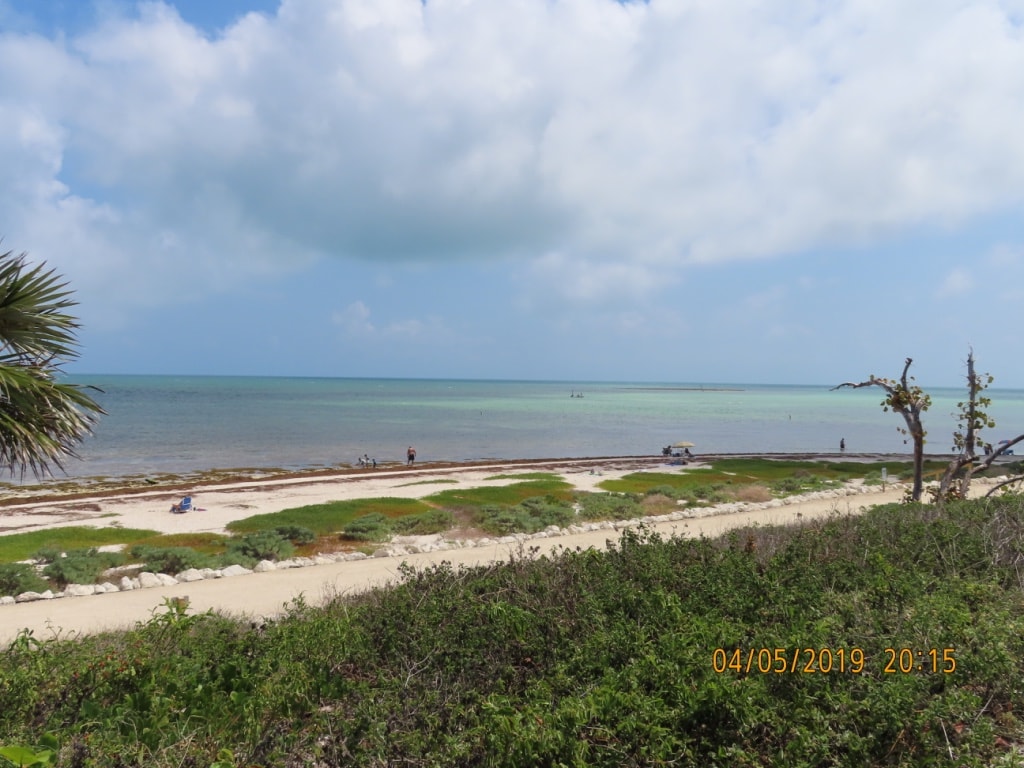 Migliori spiagge delle Keys: Bahia Honda State Park 7 Migliori-spiagge-delle-Keys-Bahia-Honda-State-Park-florida-Miami-dopo-Irma-2