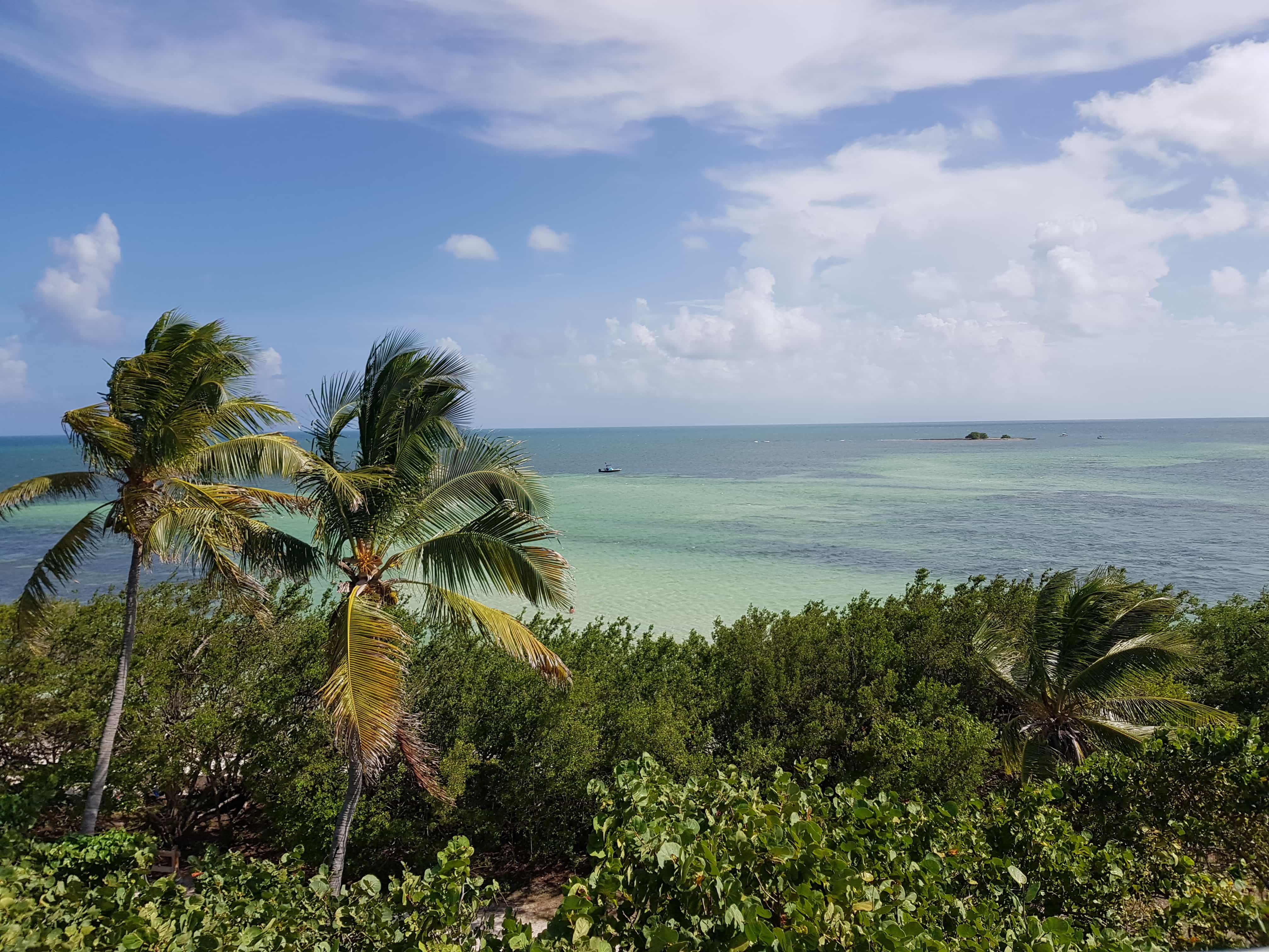 Migliori spiagge delle Keys: Bahia Honda State Park 4 Migliori-spiagge-delle-Keys-Bahia-Honda-State-Park-miami-florida