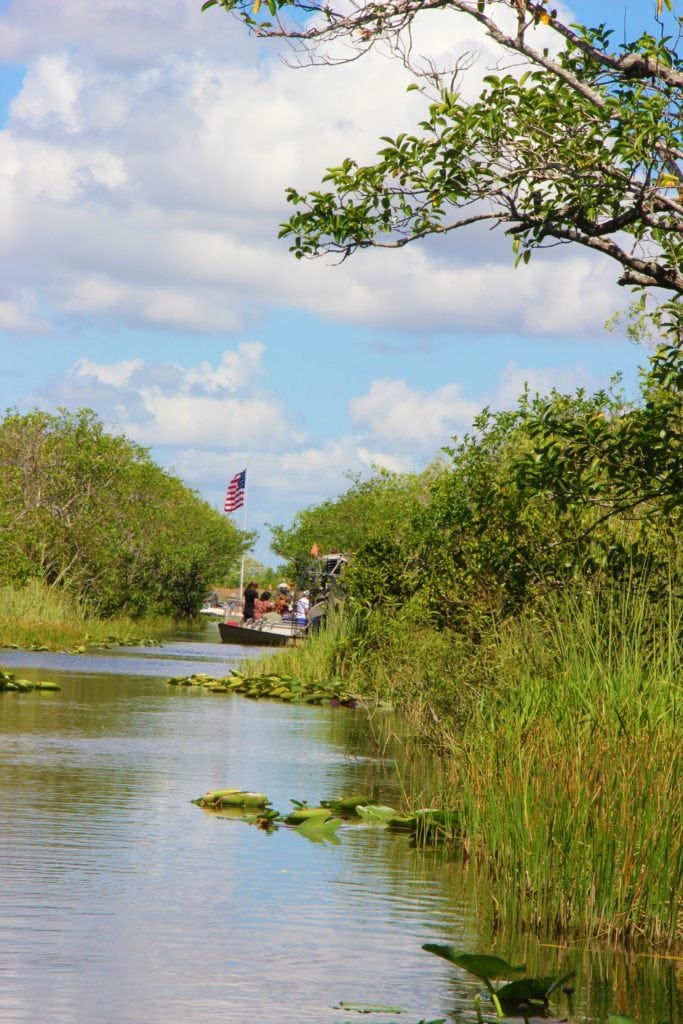Come organizzare la visita alle Everglades da Miami 4 Periodo migliore per andare alle Everglades Miami Florida Airboat 1