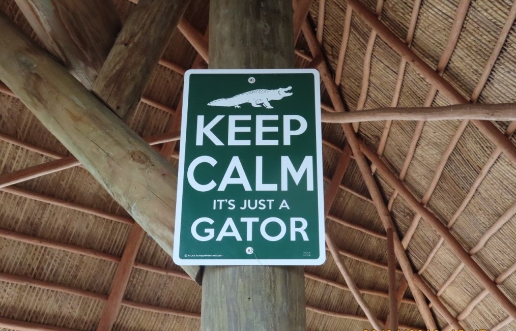 Everglades Miami: Vale la pena andare alle Everglades? 7 Vale la pena andare alle Everglades alligatori cartello