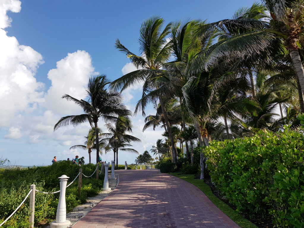 Cosa vedere a Miami: South Pointe Park 2 Cosa vedere a Miami South Pointe Park passeggiata