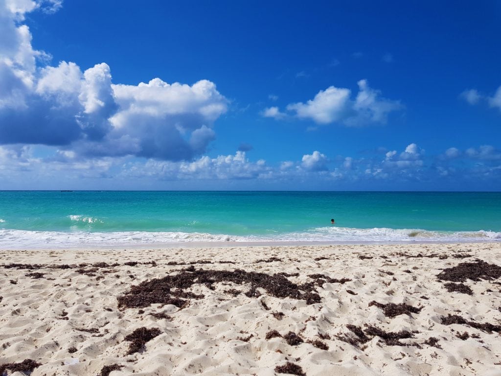 Cosa fare a Miami in 5 giorni: Dove andare? Cosa vedere? 2 miami in 5 giorni