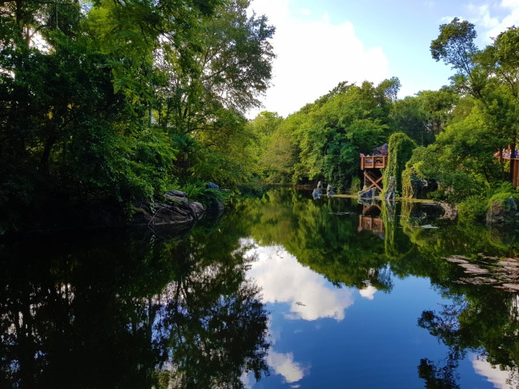 Disney World Orlando: quali parchi scegliere? 25 Disney World Animal Kingdom avatar 1