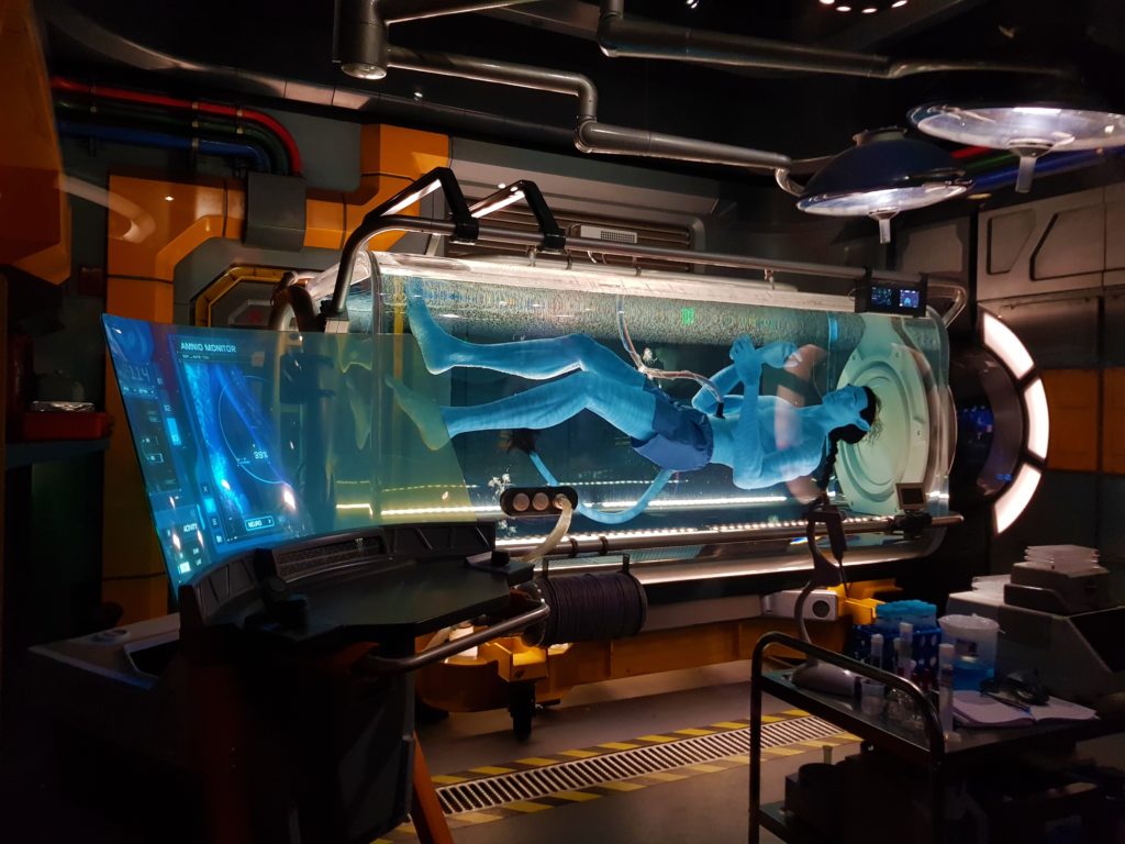 Disney World Orlando: quali parchi scegliere? 24 Disney World Animal Kingdom avatar 3