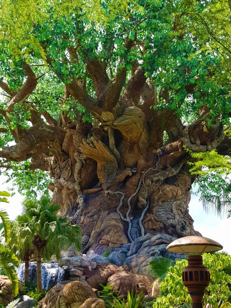 Disney World Orlando: quali parchi scegliere? 12 Disney World Orlando Animal Kingdom