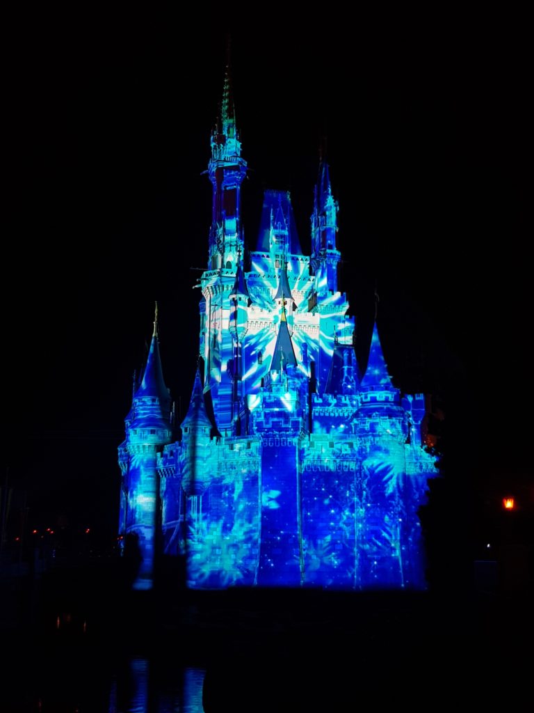Disney World Orlando: quali parchi scegliere? 8 Disney World Orlando castello illuminato