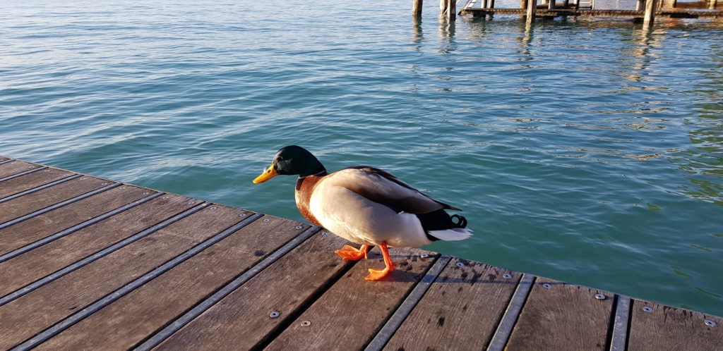 Top 7 Lago di Garda Sirmione cosa vedere? 21 Lago di Garda Sirmione