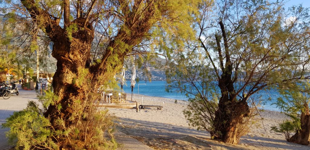Spiagge Kalamata: la spiaggia e la passeggiata. 2 spiaggia kalamata grecia