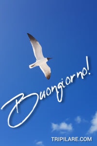 Buongiorno immagini, buon giorni 2 Buongiorno immagini, buon giorni