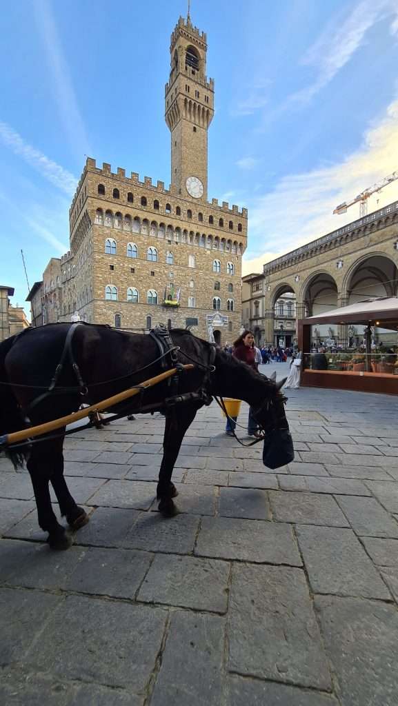 Cose da vedere a Firenze Palazzo Vecchio