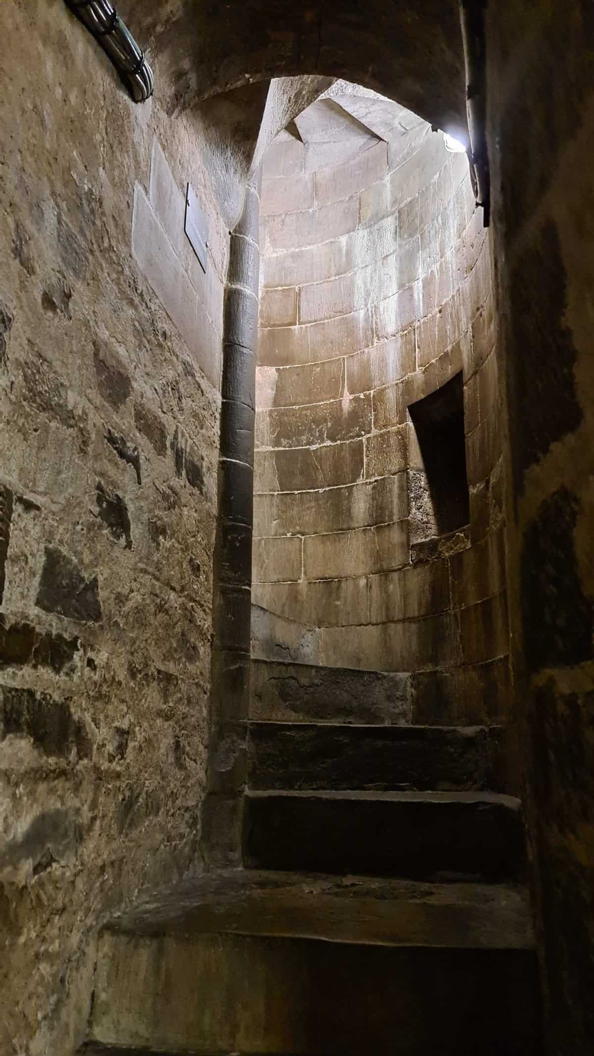 Cose da vedere a Firenze cupola di brunelleschi vista di firenze 3 scaled