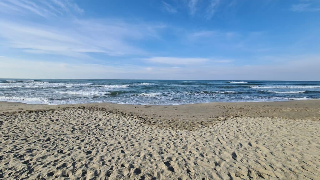 Viareggio cosa vedere? Spiaggia Viareggio... 35 Viareggio cosa vedere Spiaggia Viareggio 33