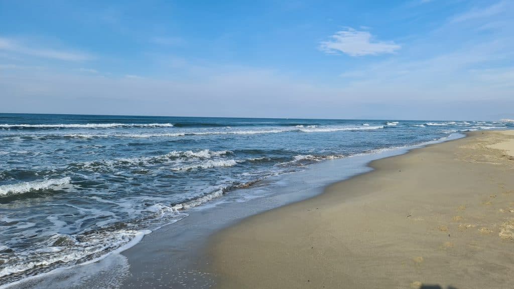 Viareggio cosa vedere? Spiaggia Viareggio... 33 Viareggio cosa vedere Spiaggia Viareggio 35