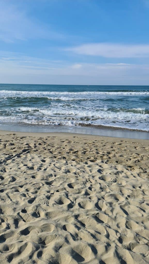 Viareggio cosa vedere? Spiaggia Viareggio... 30 Viareggio cosa vedere Spiaggia Viareggio 38
