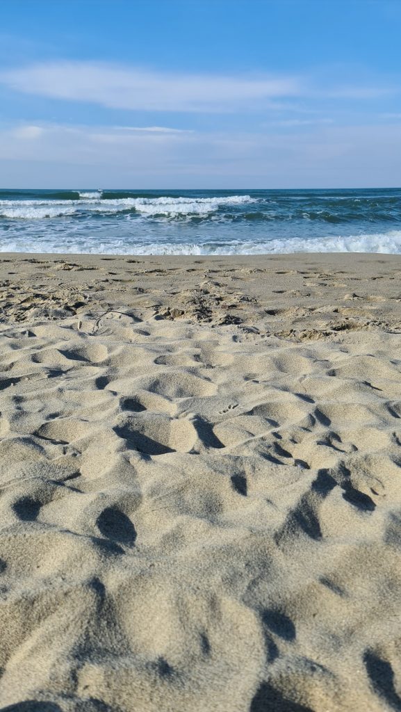 Viareggio cosa vedere? Spiaggia Viareggio... 29 Viareggio cosa vedere Spiaggia Viareggio 39