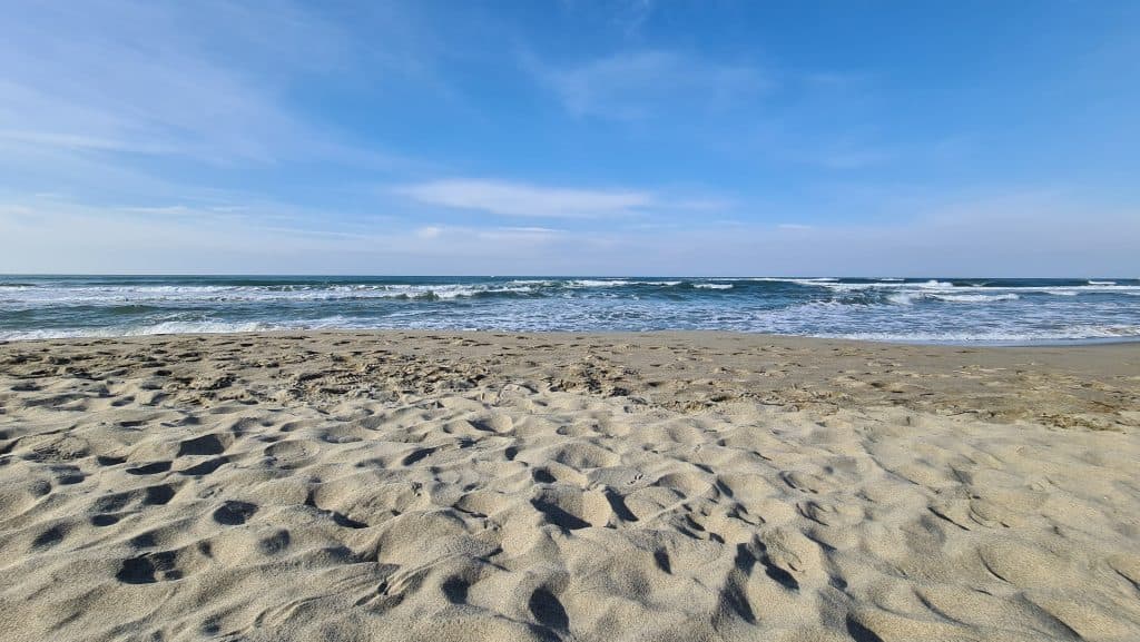 Viareggio cosa vedere? Spiaggia Viareggio... 28 Viareggio cosa vedere Spiaggia Viareggio 40