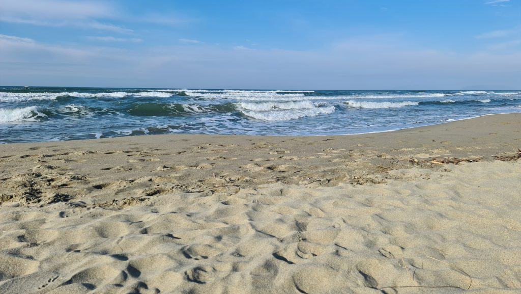 Viareggio cosa vedere? Spiaggia Viareggio... 25 Viareggio cosa vedere Spiaggia Viareggio 43
