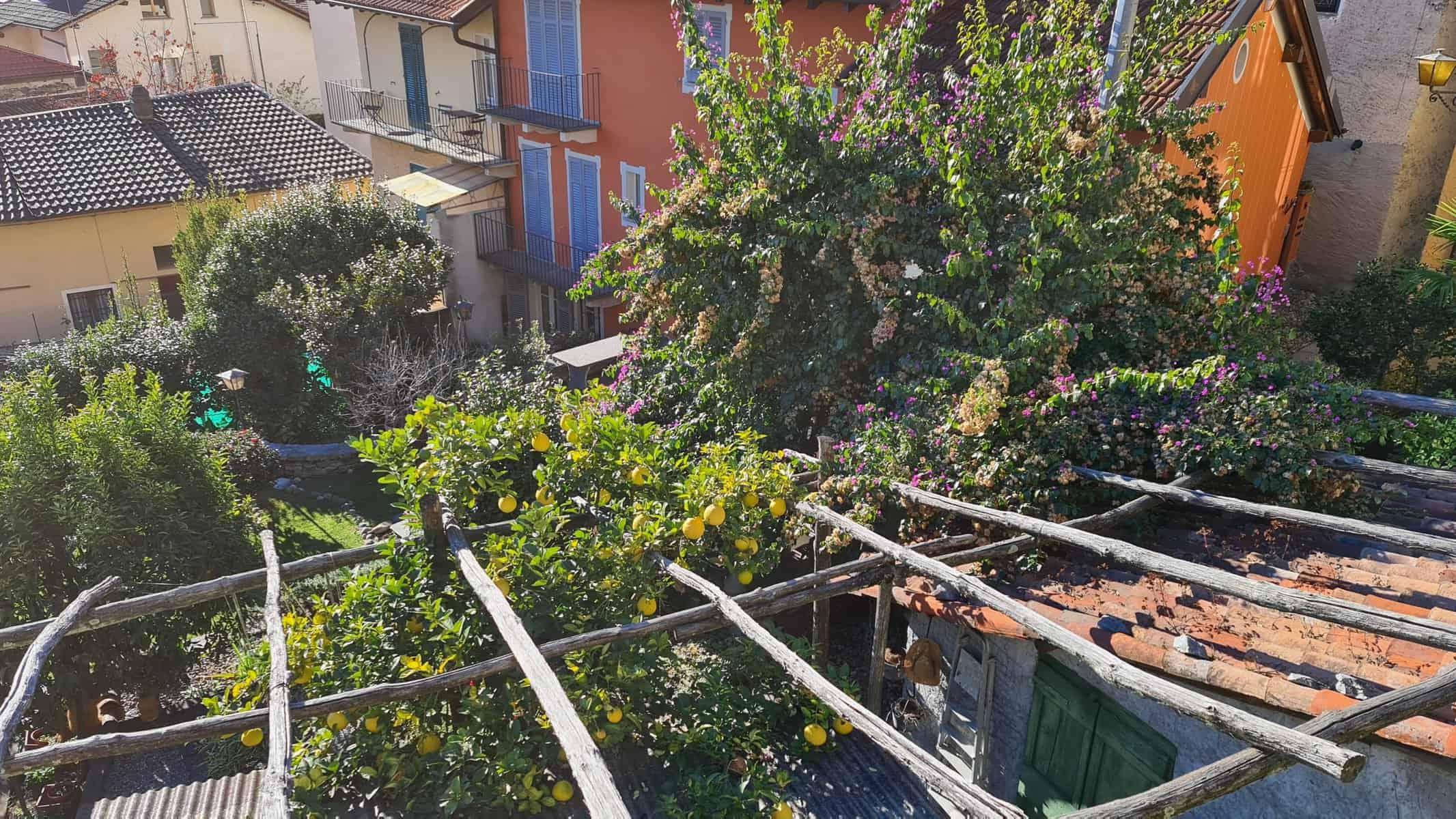 Top 10 Lago Maggiore cosa vedere? I migliori posti del Lago Maggiore 53 cannero riviera lago maggiore in inverno tripilare 25 scaled