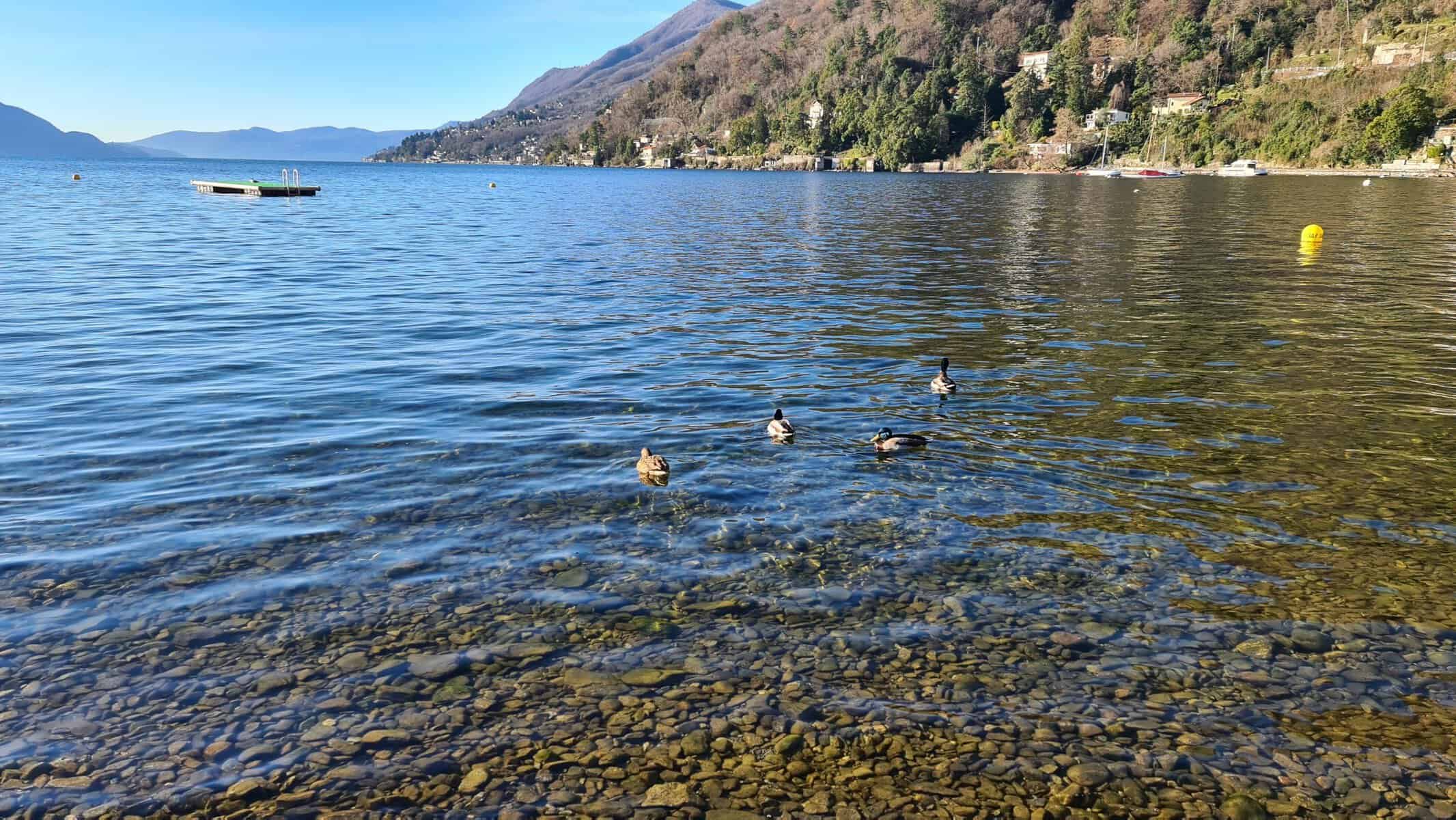 Top 10 Lago Maggiore cosa vedere? I migliori posti del Lago Maggiore 71 spiaggia cannero riviera lago maggiore tripilare scaled