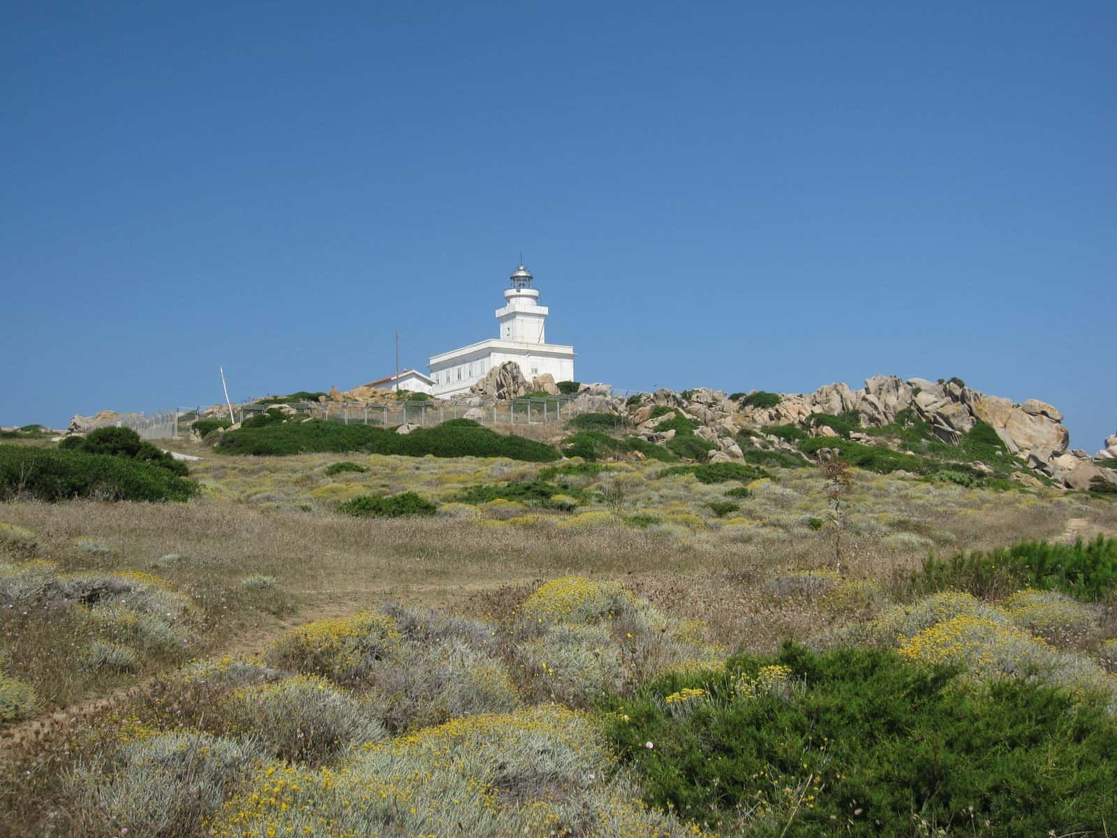 Top Spiagge Santa Teresa di Gallura + Santa Teresa di Gallura cosa vedere? 9 faro Capo testa Spiagge Santa Teresa di Gallura Santa Teresa di Gallura cosa vedere tripilare 7