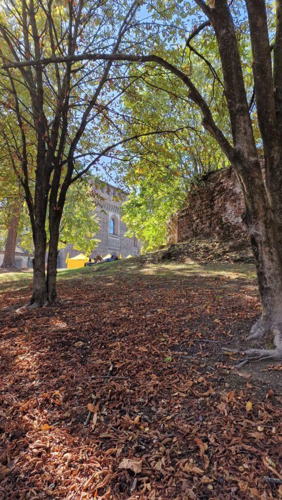 Top 10 Cosa vedere a Milano 164 Cosa Vedere a Milano Parco Sempione 2