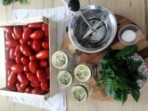 Salsa Di Pomodoro Fatta In Casa Per 1 Sugo Buono E Genuino 3 1.0 Salsa di pomodoro Ingredienti e Attrezzature Salsa di Pomodoro Fatta in Casa per 1 sugo buono e genuino
