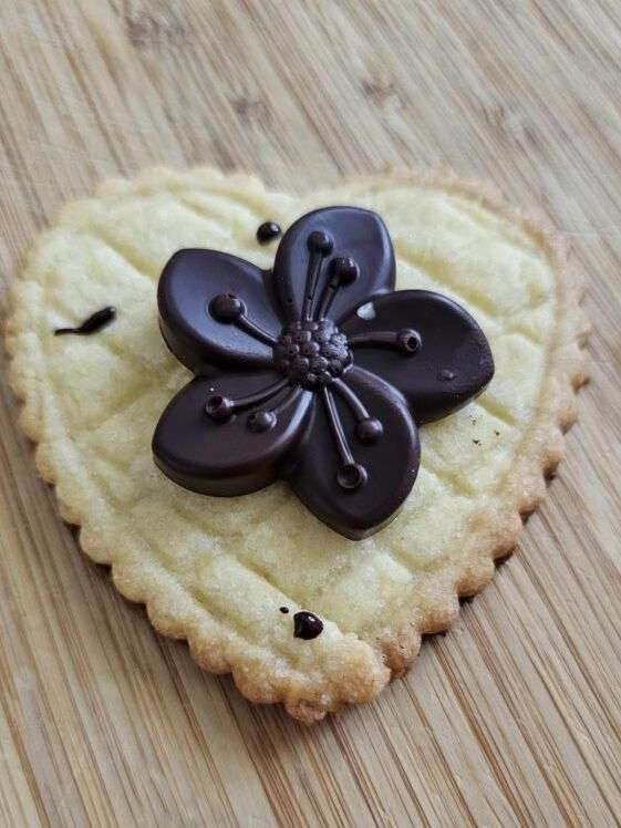 Idee ricette biscotti pasta frolla semplici tipiche italiane 3 image editor output image378533906 17034379375376273143878823825944