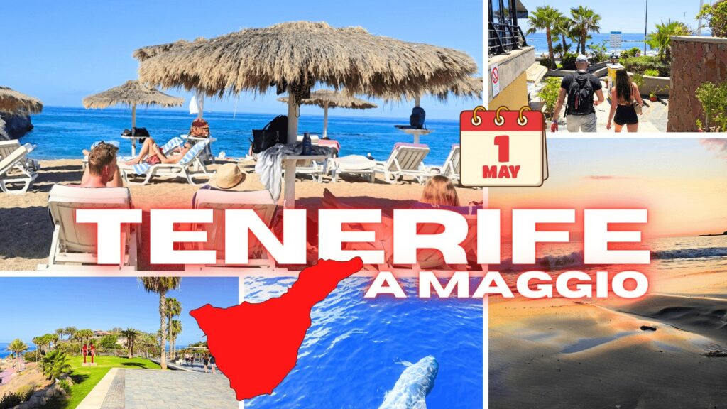 Scopri Tenerife a Maggio: il tuo viaggio indimenticabile 1 Isole canarie Tenerife a maggio